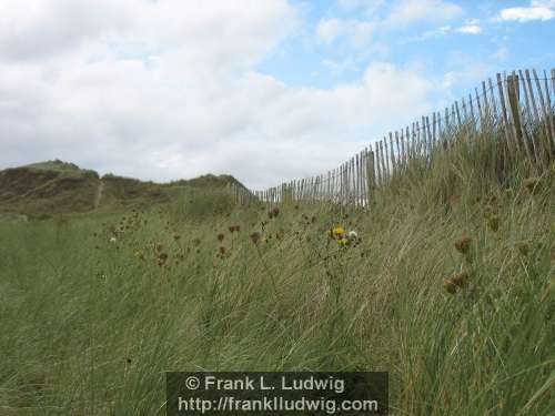 Culleenamore, County Sligo